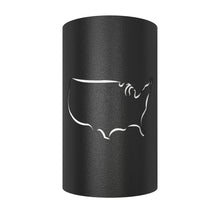 Load image into Gallery viewer, LED Patriotic USA Wall Sconce for Indoor/Outdoor Use